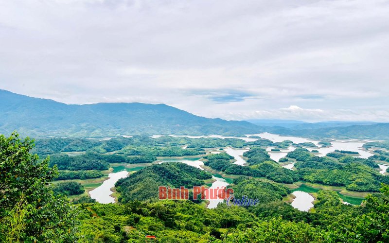 Mê mẩn vẻ đẹp “Vịnh Hạ Long trên cao” Mê mẩn vẻ đẹp “Vịnh Hạ Long trên cao”