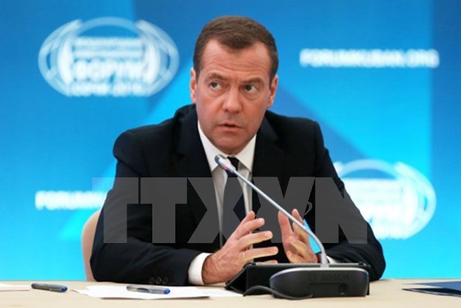 medvedev23012017081506.jpeg