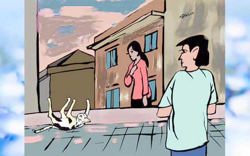Mèo con nghịch ngợm