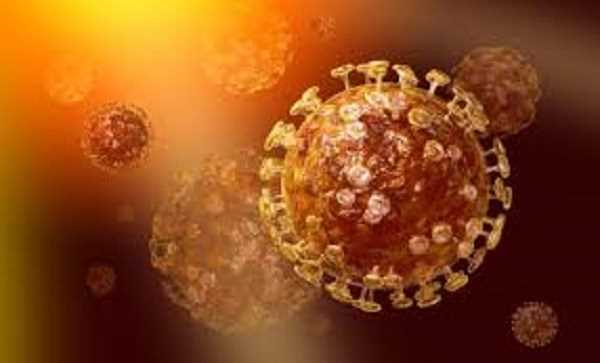 Phát hiện mới về virus MERS-CoV khiến nhiều người lo lắng Phát hiện mới về virus MERS-CoV khiến nhiều người lo lắng