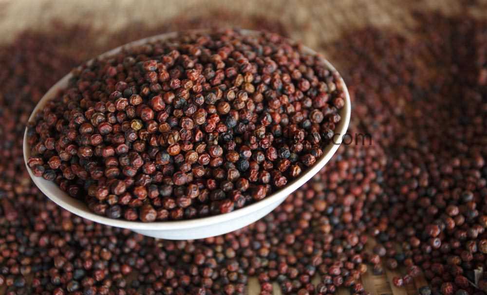 Giá hồ tiêu chỉ còn bằng 1/3 so với năm 2016 Giá hồ tiêu chỉ còn bằng 1/3 so với năm 2016