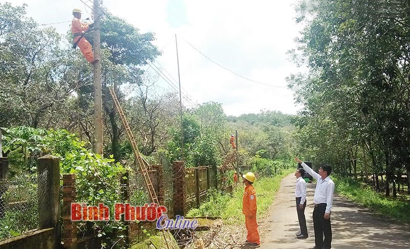 Minh Hưng không còn “khát” điện