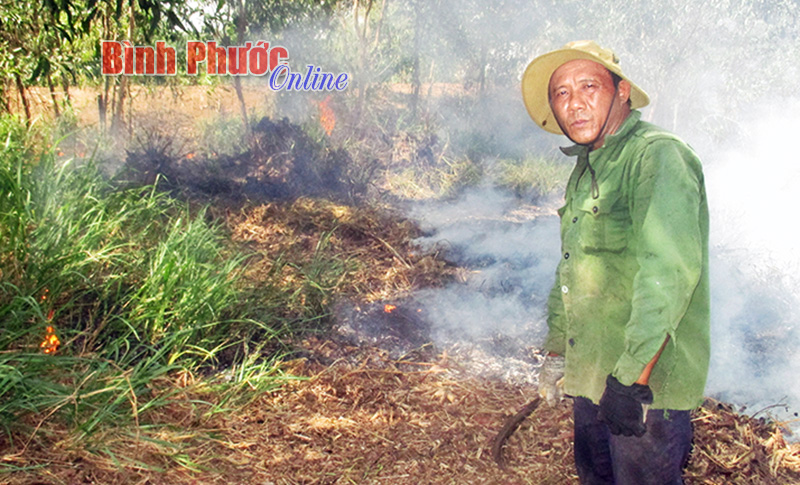 Nguy cơ hỏa hoạn từ thói quen dọn vườn ở Minh Lập