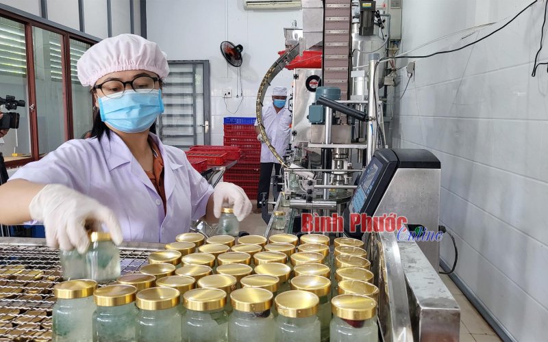 Mô hình thiết thực hỗ trợ phụ nữ khó khăn Mô hình thiết thực hỗ trợ phụ nữ khó khăn