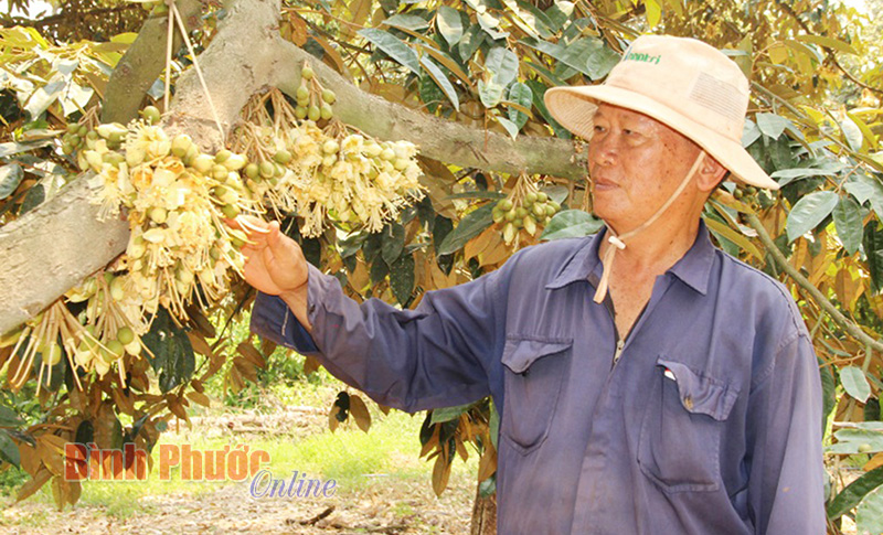 mohinh325032019094413.jpg