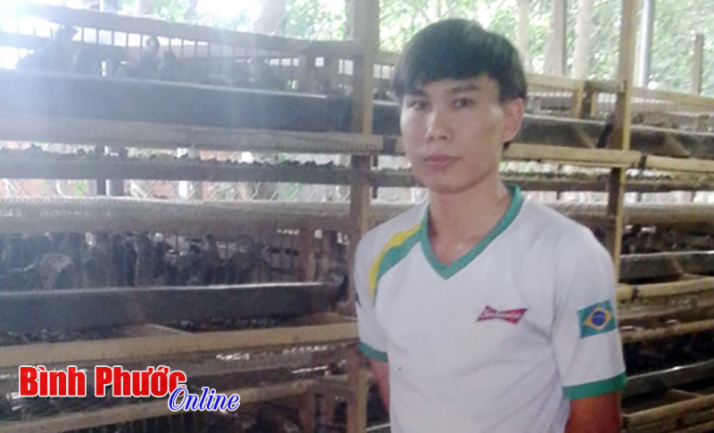 Mô hình chăn nuôi nhỏ hiệu quả cao Mô hình chăn nuôi nhỏ hiệu quả cao