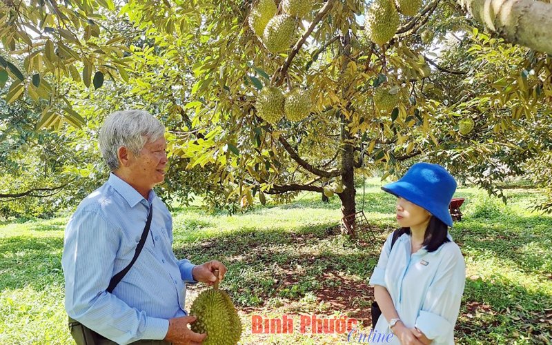 Mỗi ngày có thêm bạn mới