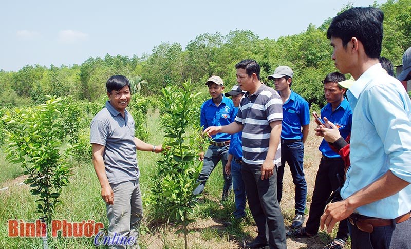 Mở lối cho thanh niên Bình Phước khởi nghiệp Mở lối cho thanh niên Bình Phước khởi nghiệp