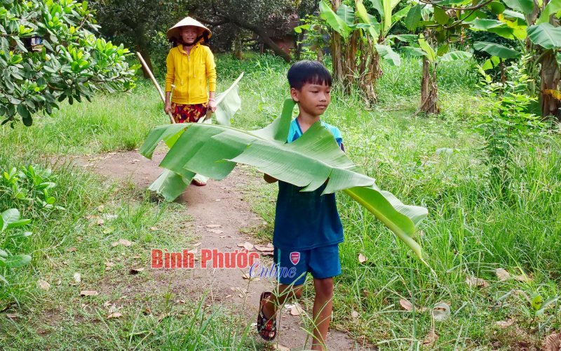 Mong khỏe mạnh để đi cùng con