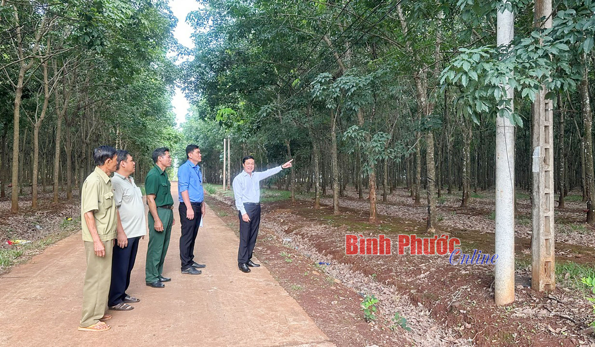 Mong sớm đầu tư lưới điện