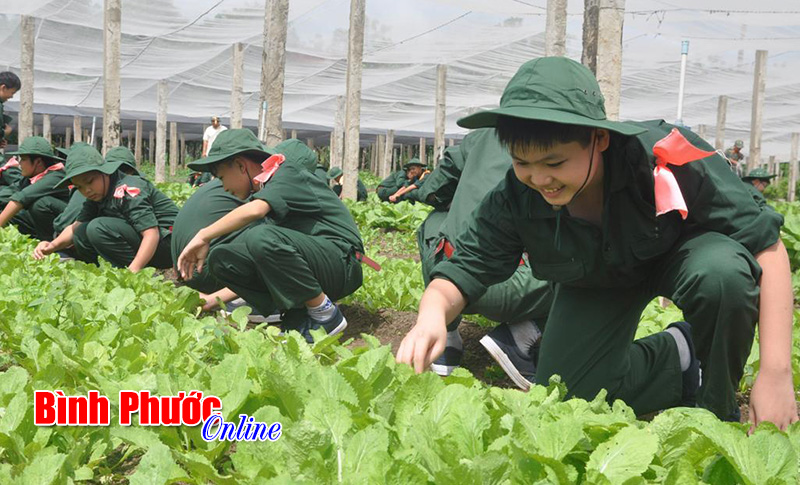 Một ngày của các “chiến sĩ nhí” Một ngày của các “chiến sĩ nhí”