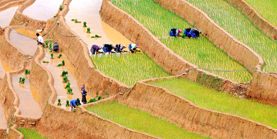 mu-cang-chai127072015031920.jpg