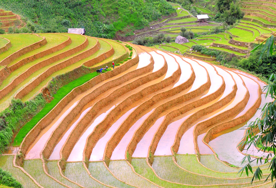 mu-cang-chai227072015031921.jpg