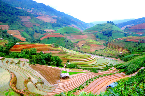 mu-cang-chai27072015031920.jpg