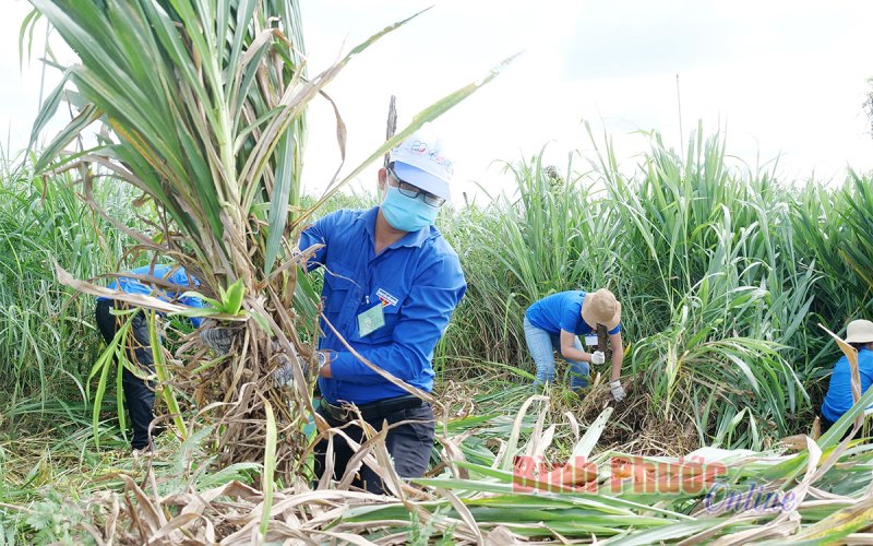 Mùa hè đặc biệt