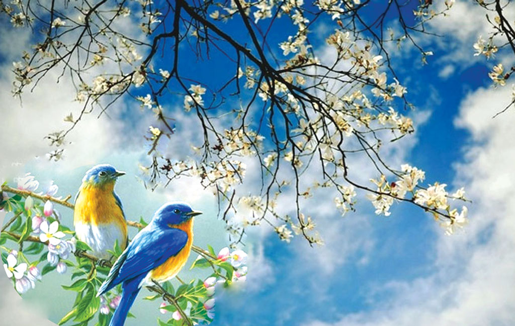 Mùa xuân ở lại Mùa xuân ở lại