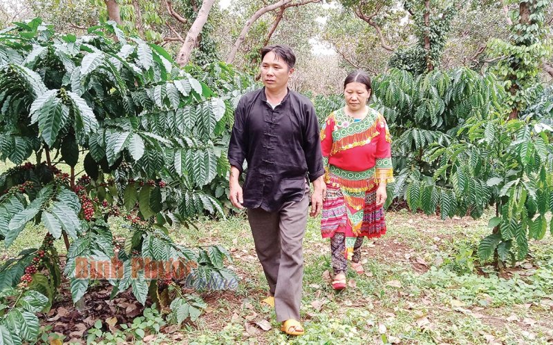 Mùa xuân với đồng bào H’mông Mùa xuân với đồng bào H’mông