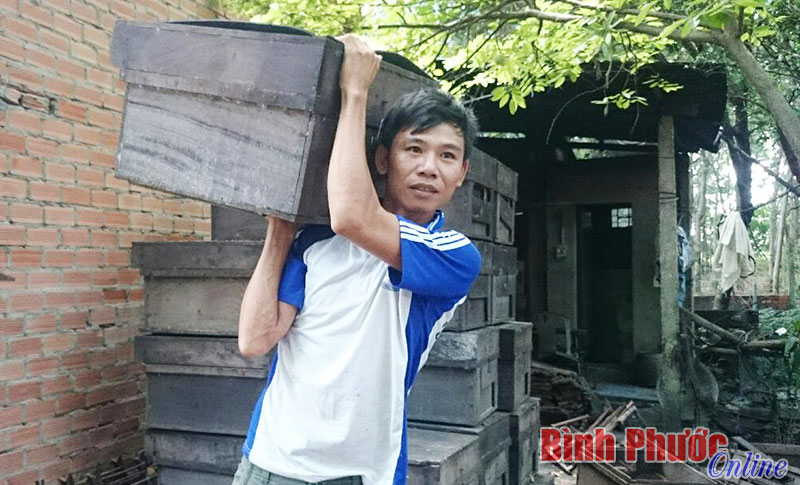 Mùa mật “đắng” ở Minh Hưng Mùa mật “đắng” ở Minh Hưng