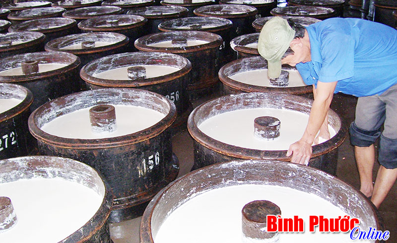 Nệm Đồng Phú cải tiến công nghệ, mở rộng thị trường