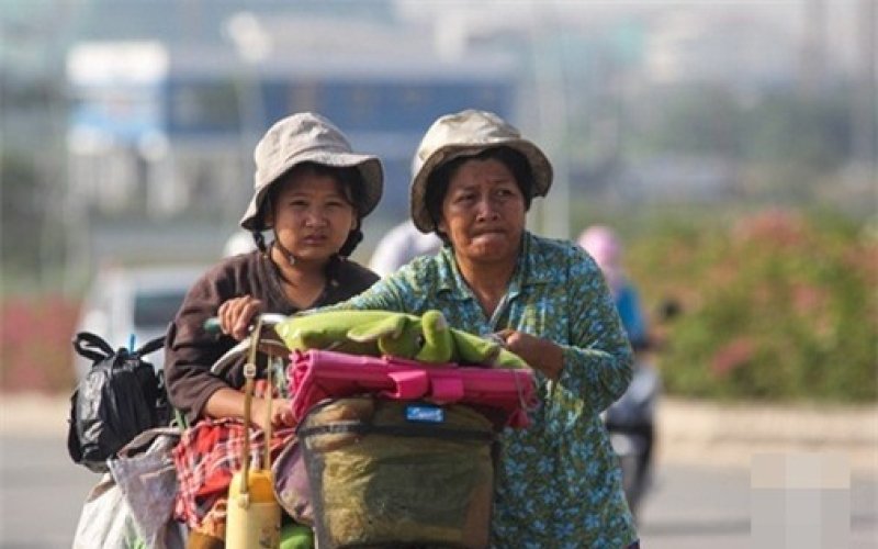 Mùi mồ hôi của mẹ Mùi mồ hôi của mẹ