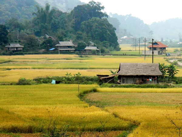 Những đổi thay trên vùng đất Thanh Xương lịch sử Những đổi thay trên vùng đất Thanh Xương lịch sử