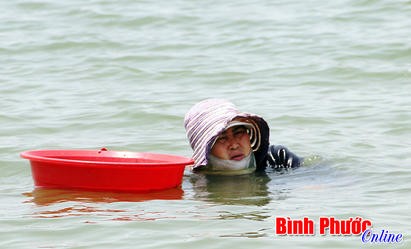 Mưu sinh mùa nước cạn