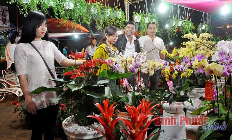 Đồng Xoài khai mạc hội chợ hoa xuân Đinh Dậu 2017
