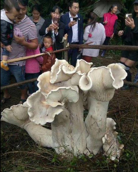 namkl227102017014817.jpg