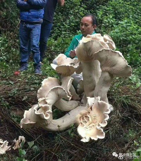 namkl327102017014817.jpg