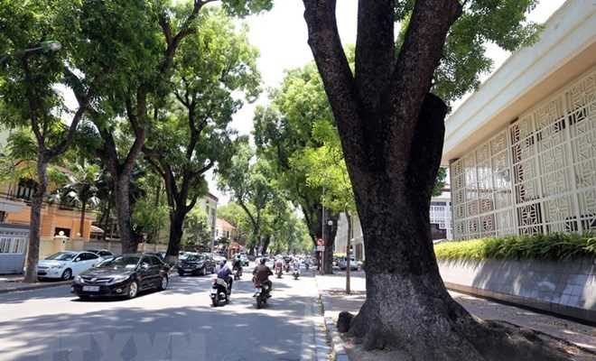 Khu vực Bắc Bộ sáng có sương mù, trưa và chiều trời oi nóng
