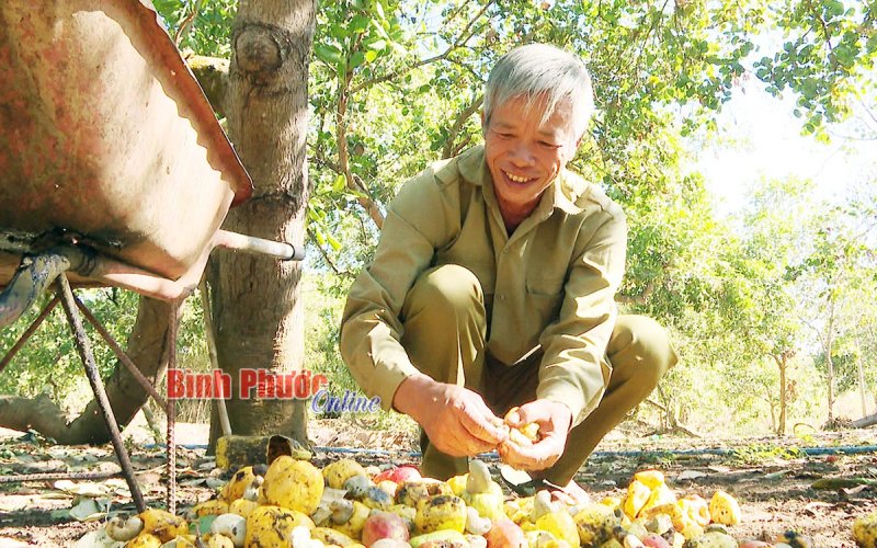 Nâng cao đời sống người dân vùng biên Nâng cao đời sống người dân vùng biên
