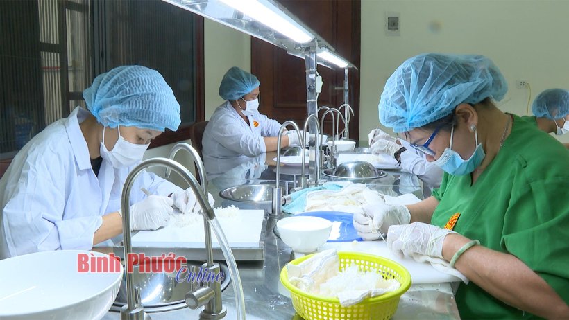 Nâng giá trị Việt bay xa Nâng giá trị Việt bay xa