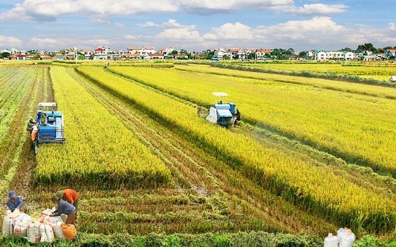 Nâng tầm vị thế quốc gia