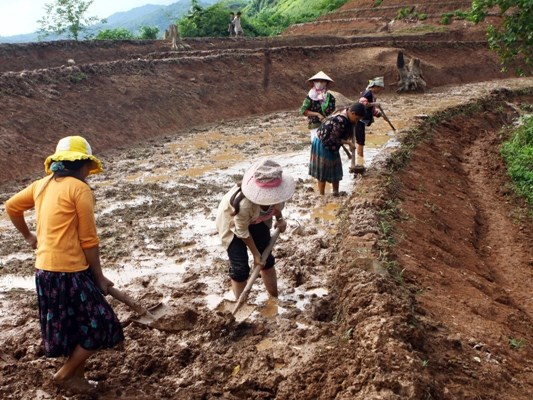 Chân dung nông dân Việt thời hội nhập với 5 cái nhất Chân dung nông dân Việt thời hội nhập với 5 cái nhất