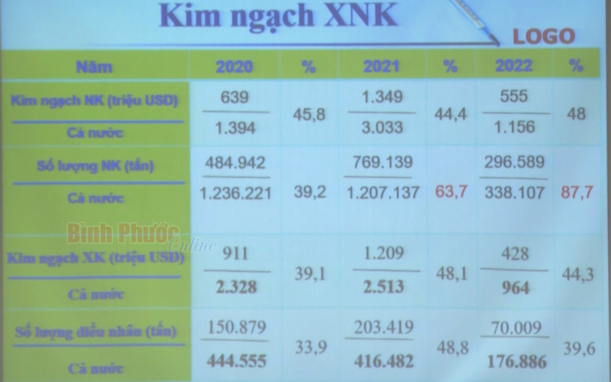 ngach_10044731082022.jpg