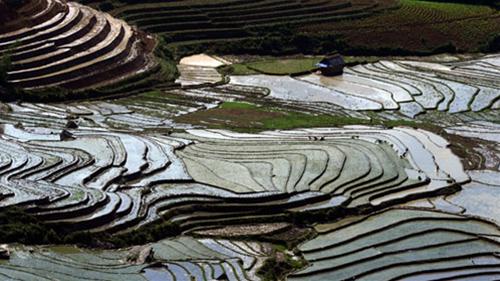 ngaithau4.jpg