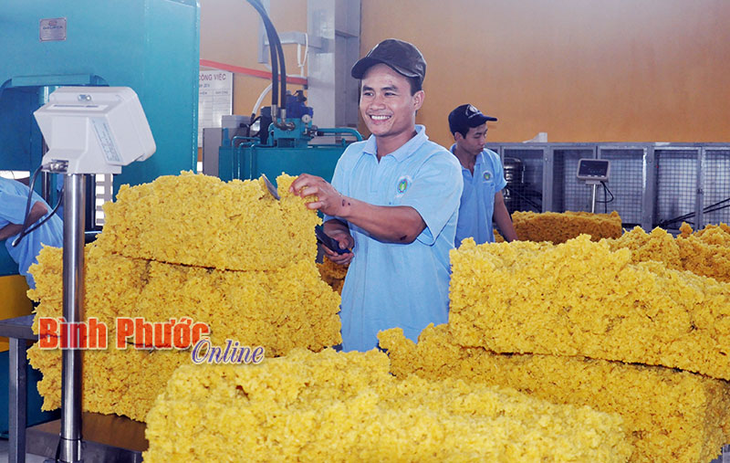 Ngân hàng trong 2 quý cuối năm - Bài cuối Ngân hàng trong 2 quý cuối năm - Bài cuối