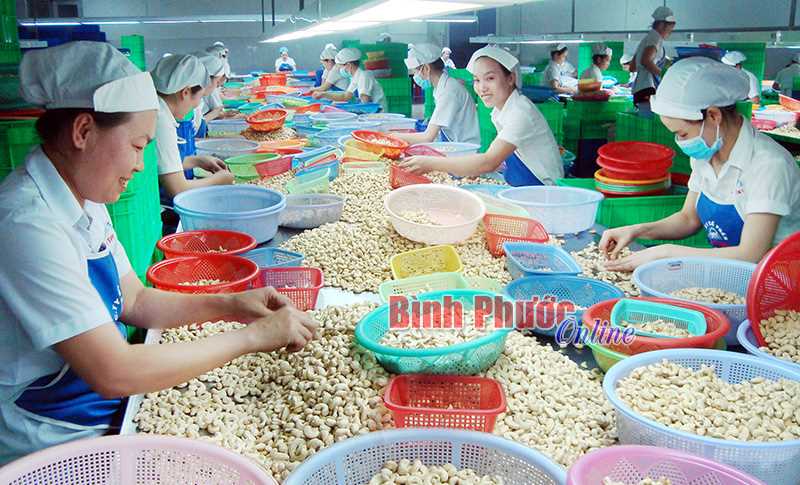 Sức mạnh của liên kết Sức mạnh của liên kết