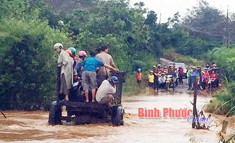 Mưa lớn gây ngập đường liên thôn Mưa lớn gây ngập đường liên thôn
