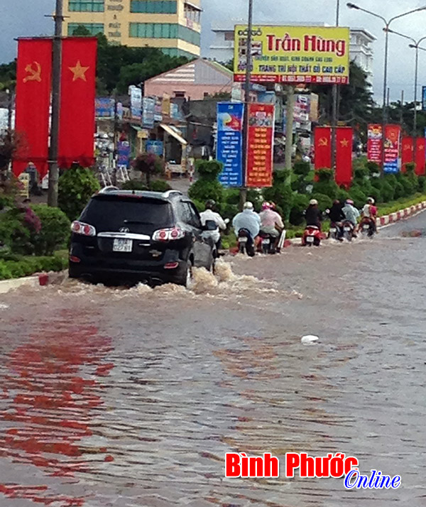 ngaplut3.JPG