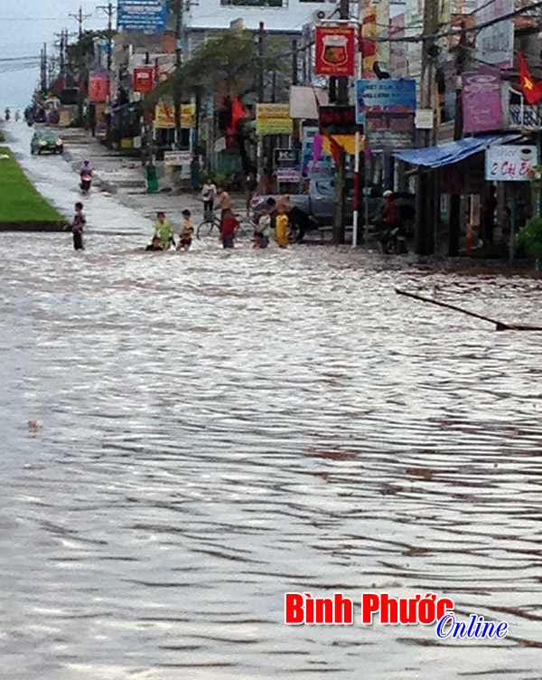 ngaplut4.JPG