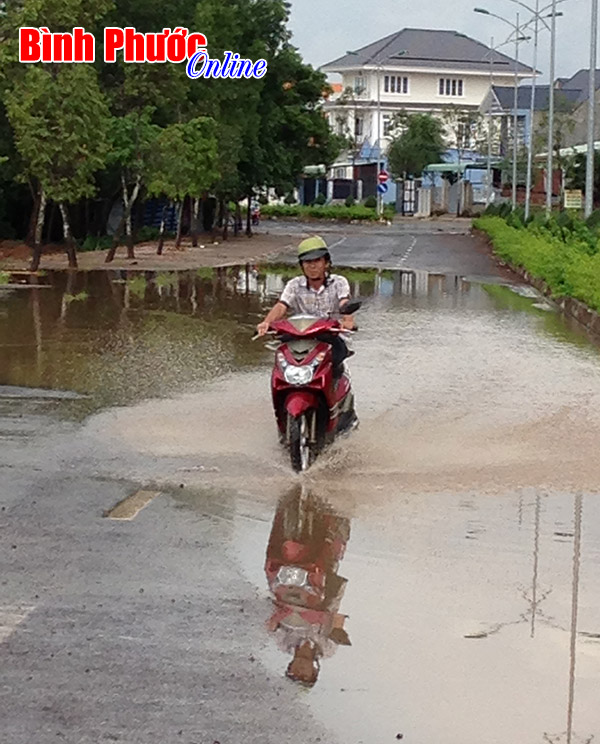 ngaplut5.JPG