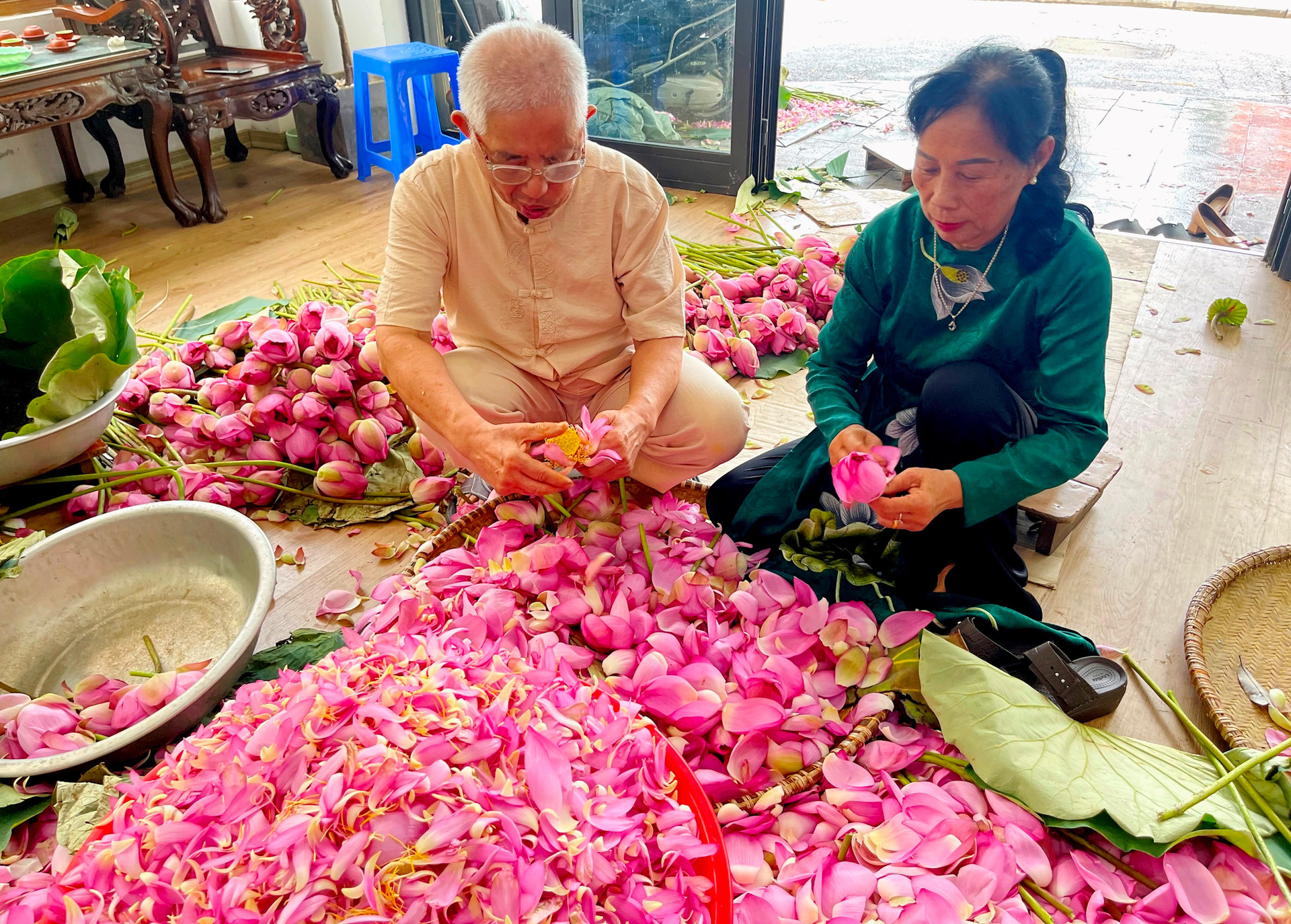 Ngát thơm trà sen Tây Hồ