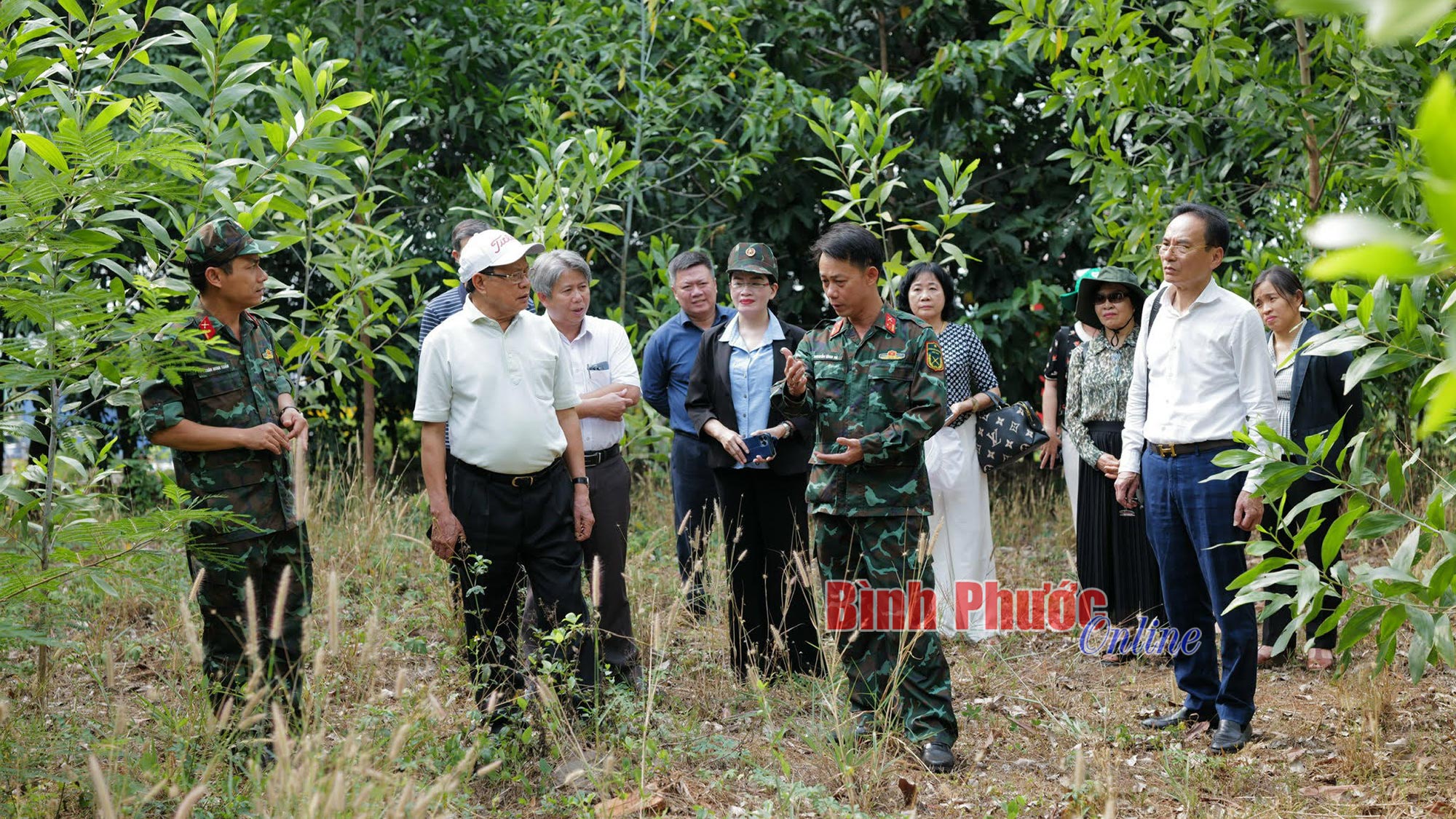 Ngày trở lại Ngày trở lại