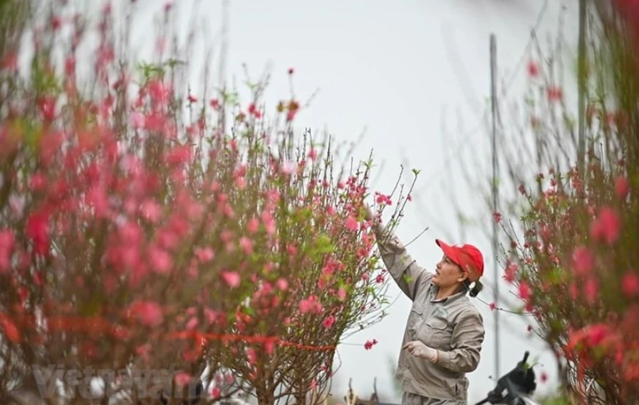 nghi_le_tet_20332022102024.jpg