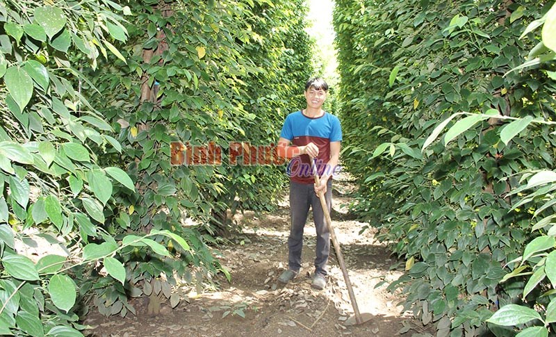 Nghĩa tình đồng vốn thanh niên vùng biên
