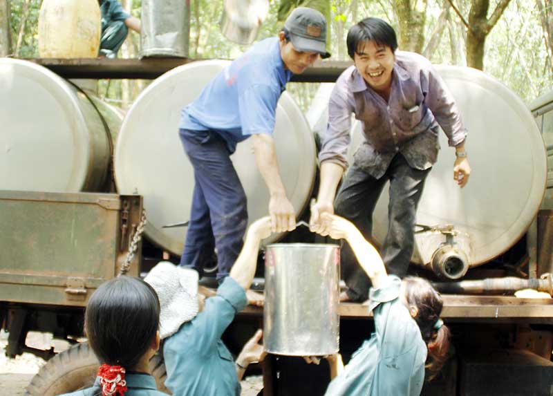 Nghịch lý trong ngành cao su Nghịch lý trong ngành cao su