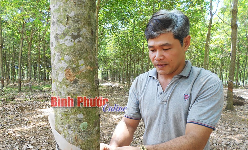 Nghị lực vượt khó của nhà nông người Mường Nghị lực vượt khó của nhà nông người Mường