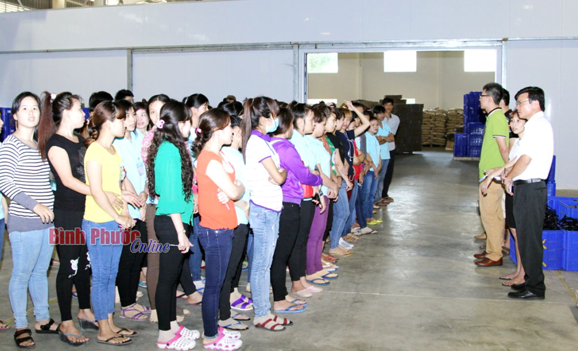 ngo-doc322042016081323.jpg