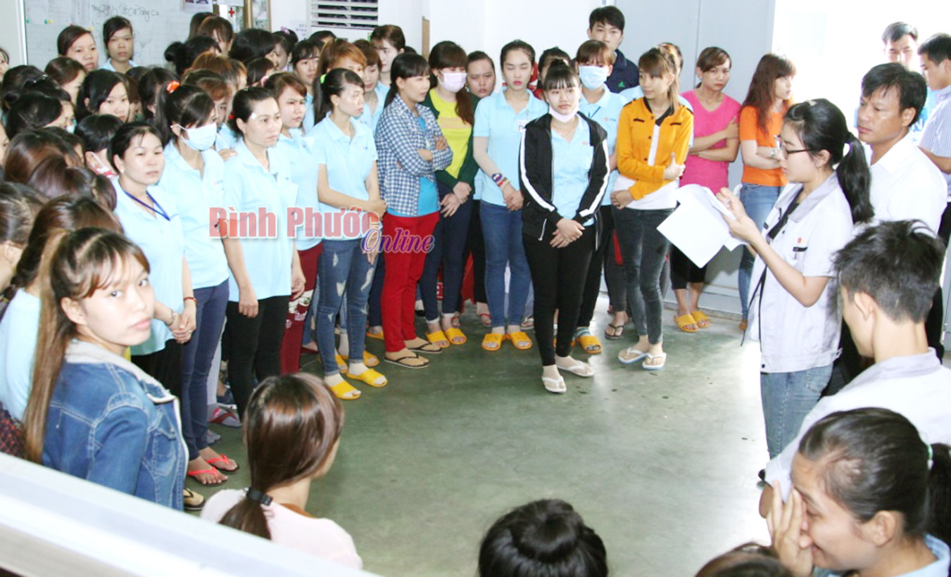 ngo-doc422042016081323.jpg